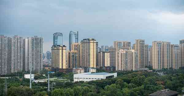 布谷加速器64位系统怎么安装