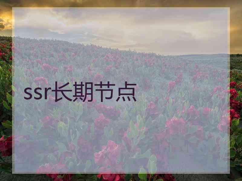 ssr长期节点