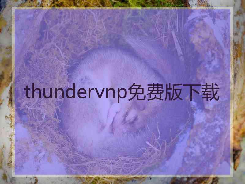 thundervnp免费版下载