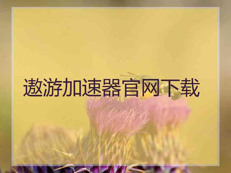 遨游加速器官网下载