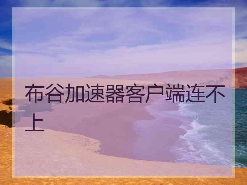 布谷加速器客户端连不上