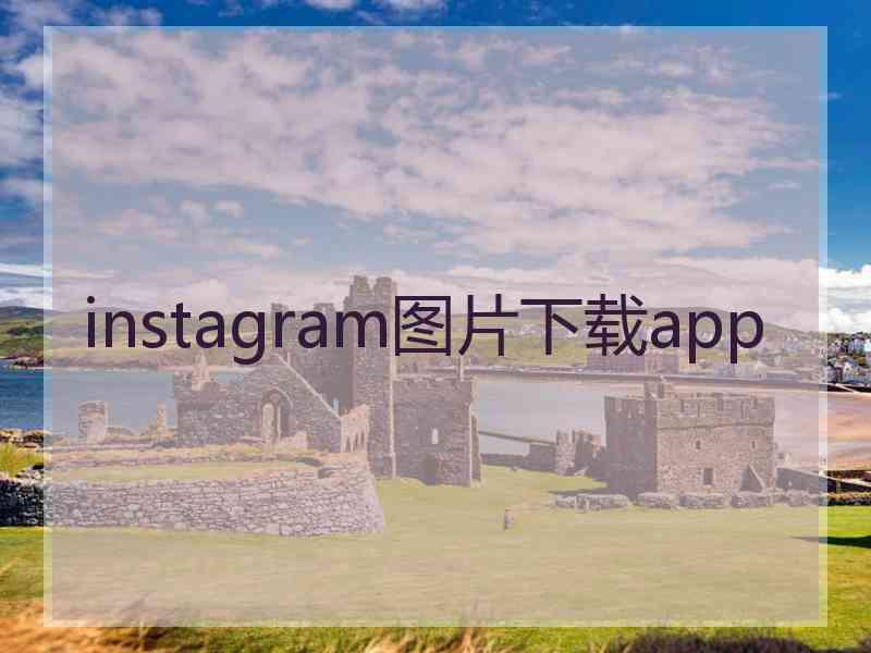 instagram图片下载app
