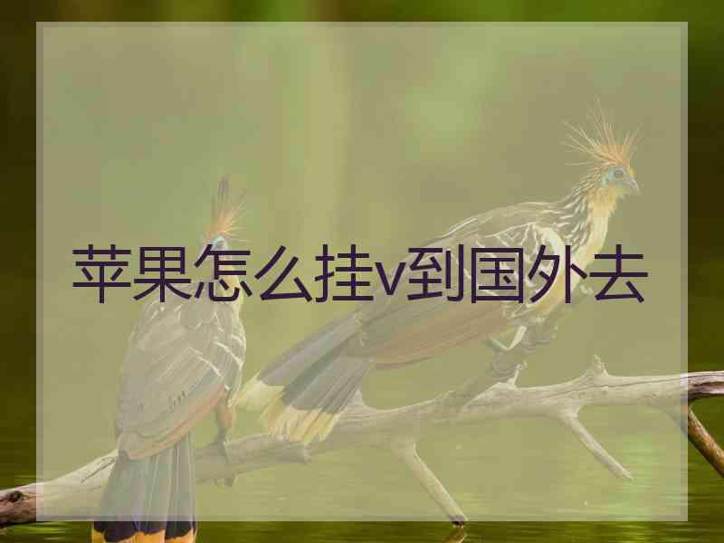 苹果怎么挂v到国外去