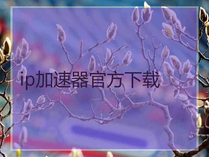 ip加速器官方下载