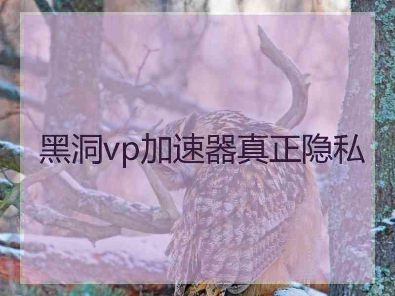 黑洞vp加速器真正隐私