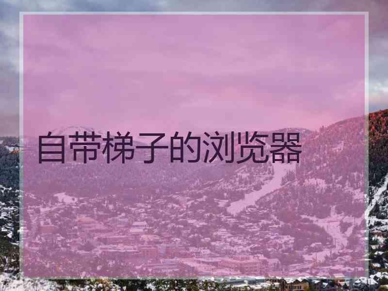 自带梯子的浏览器