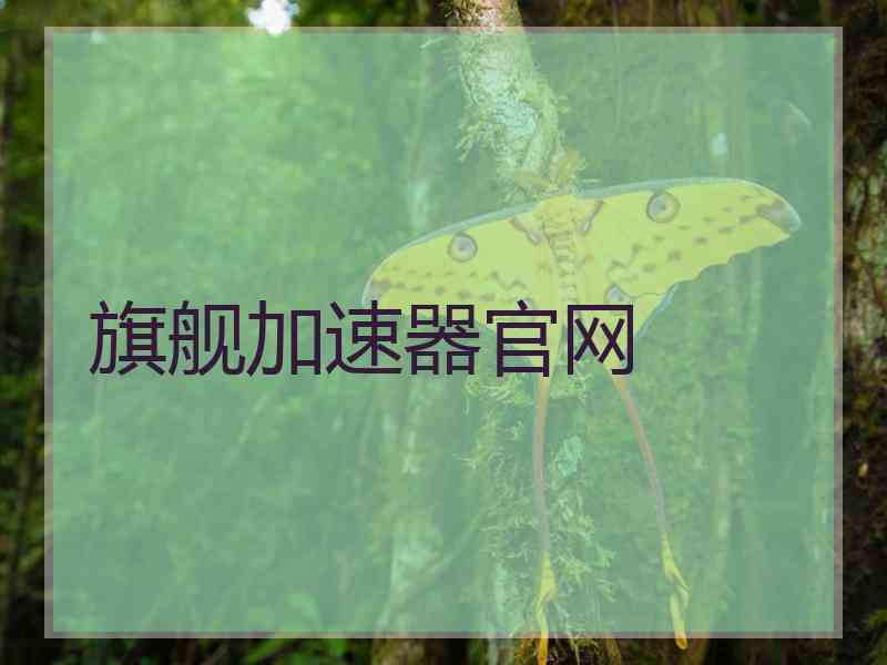 旗舰加速器官网