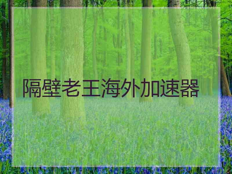 隔壁老王海外加速器