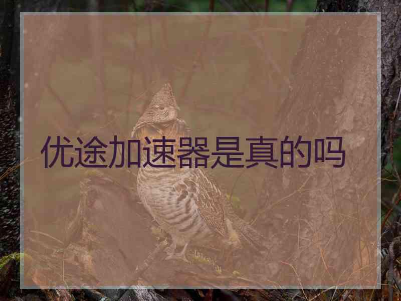 优途加速器是真的吗
