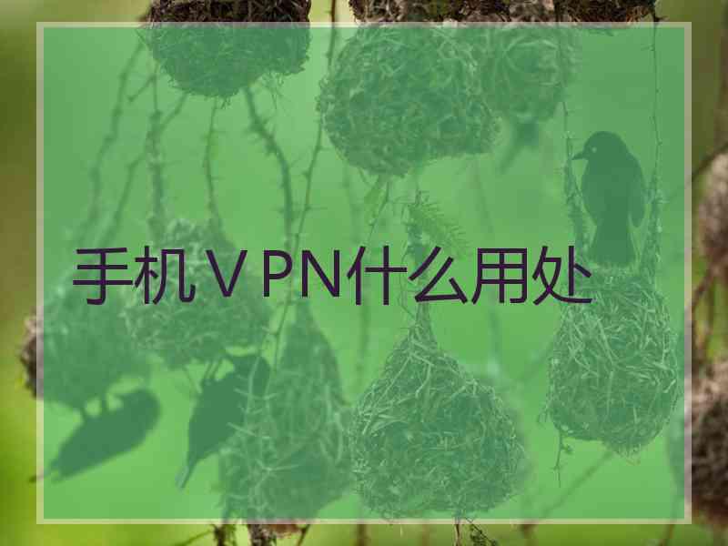 手机ⅤPN什么用处