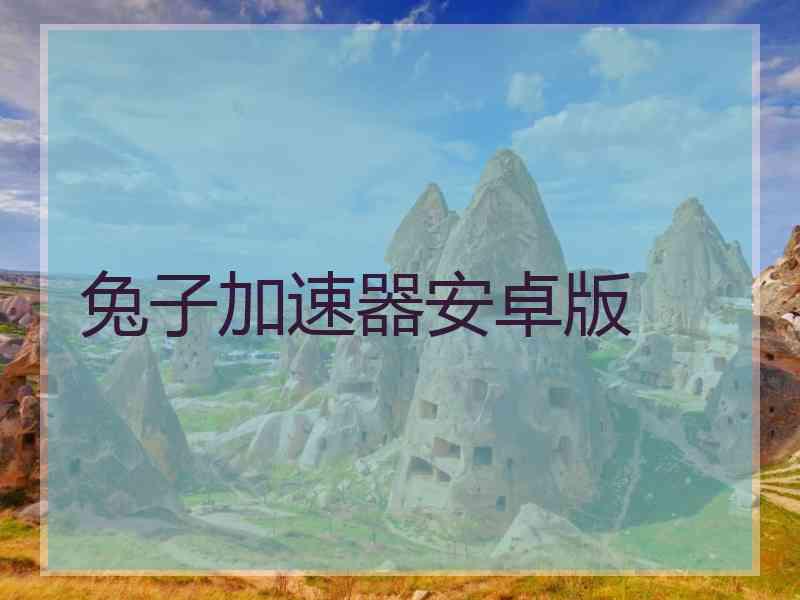 兔子加速器安卓版