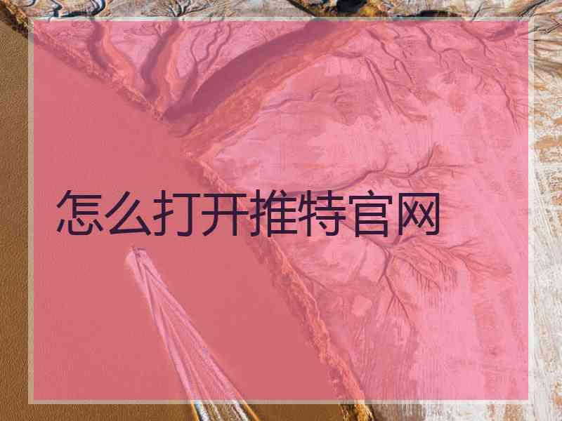 怎么打开推特官网
