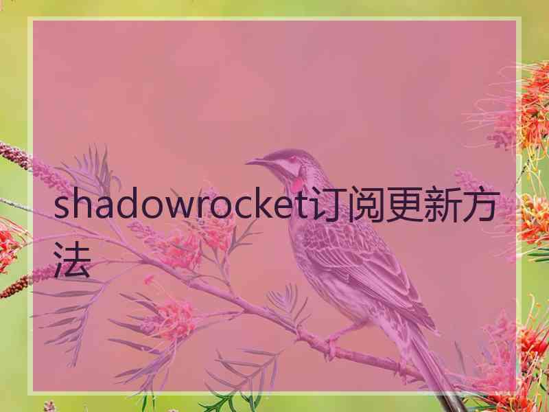 shadowrocket订阅更新方法