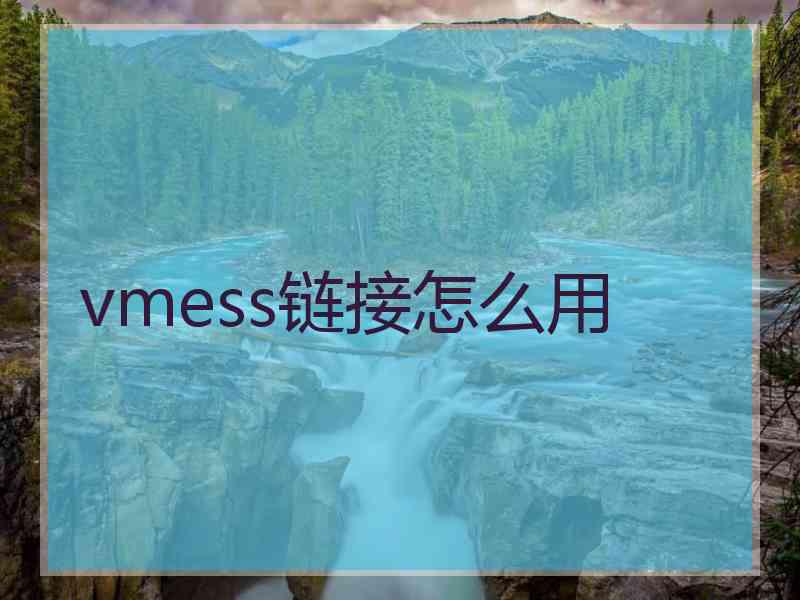 vmess链接怎么用