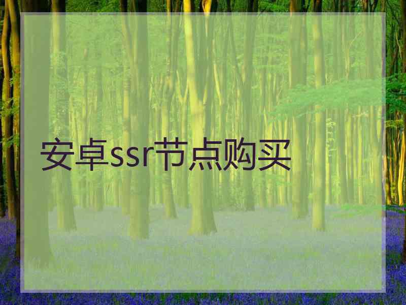 安卓ssr节点购买