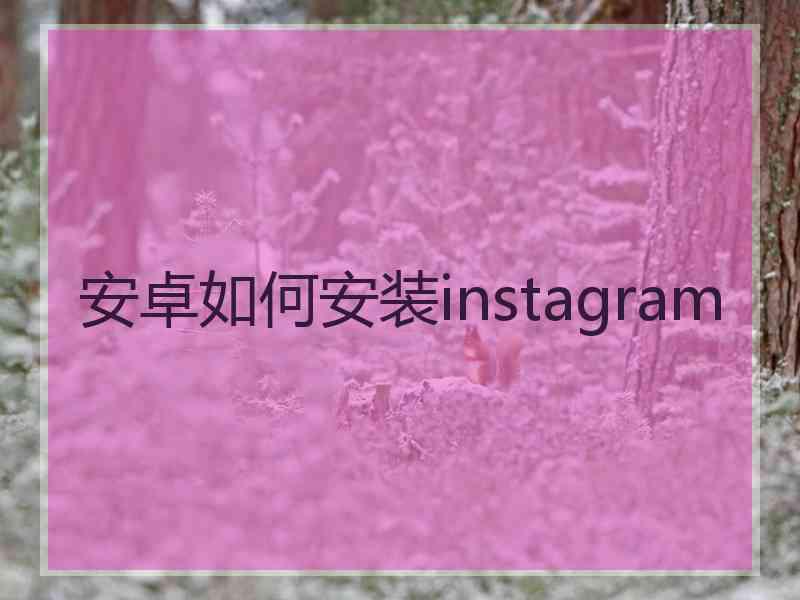 安卓如何安装instagram