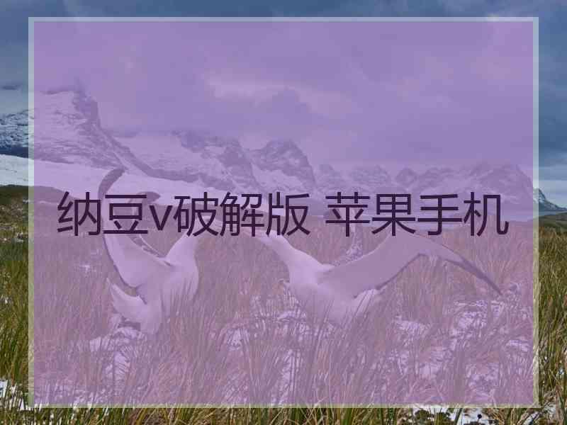 纳豆v破解版 苹果手机