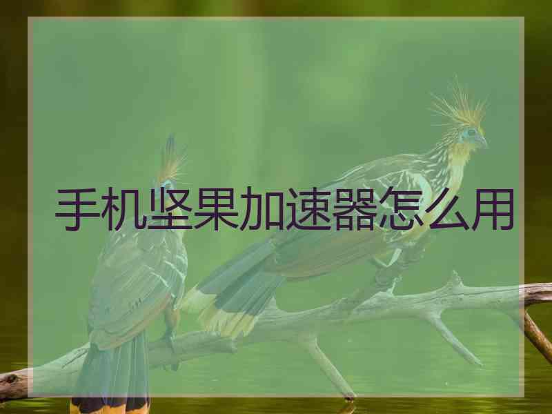 手机坚果加速器怎么用