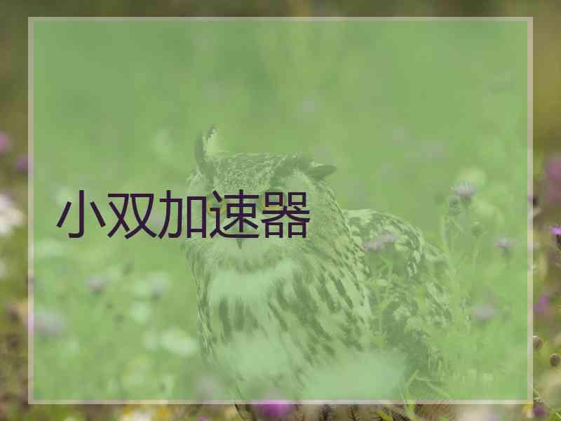 小双加速器