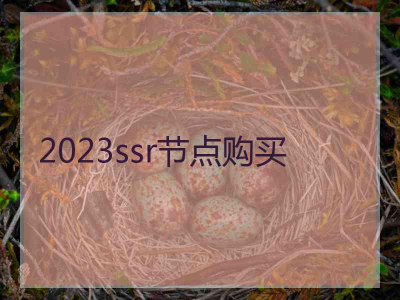 2023ssr节点购买