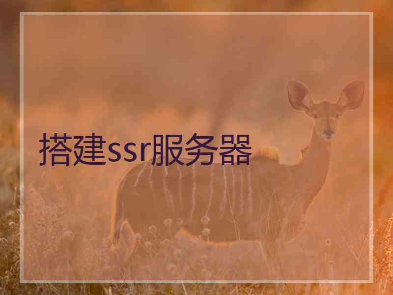 搭建ssr服务器