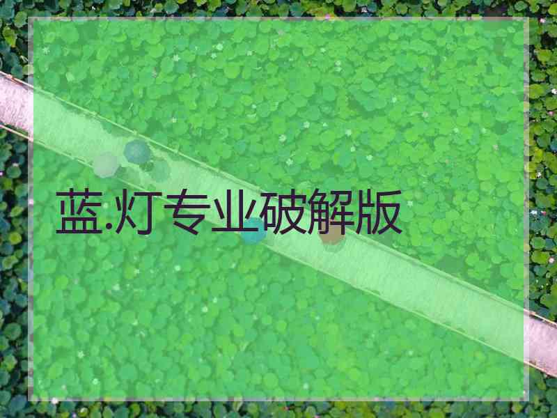 蓝.灯专业破解版
