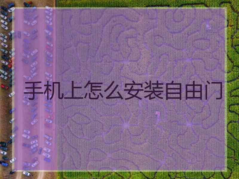 手机上怎么安装自由门