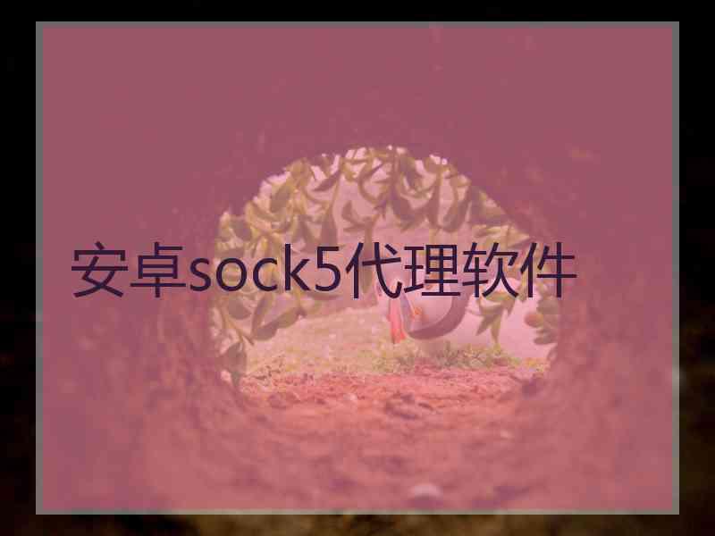 安卓sock5代理软件
