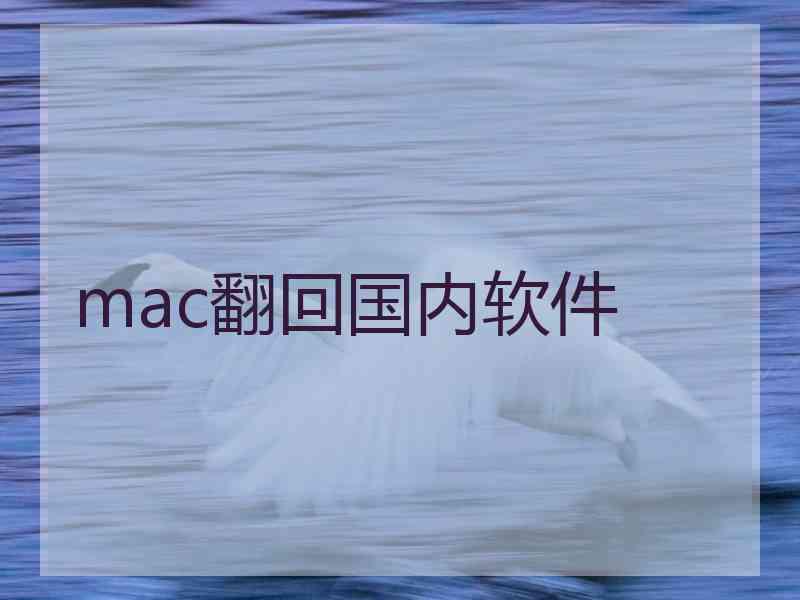 mac翻回国内软件