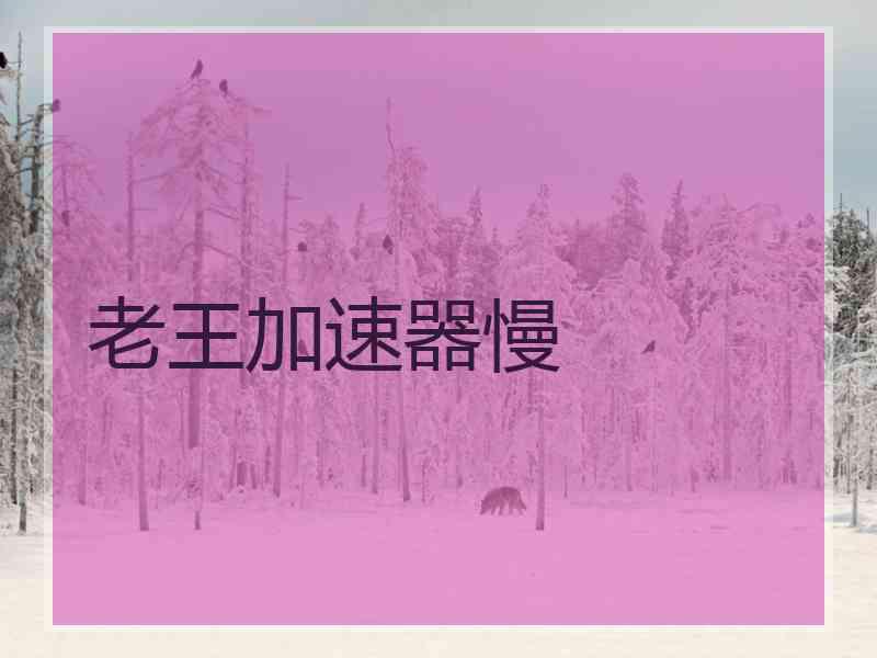 老王加速器慢