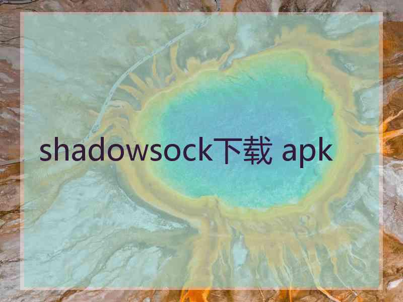 shadowsock下载 apk