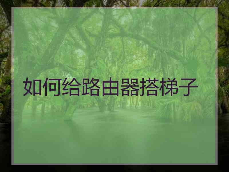 如何给路由器搭梯子