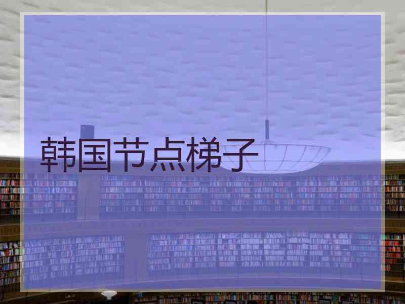 韩国节点梯子